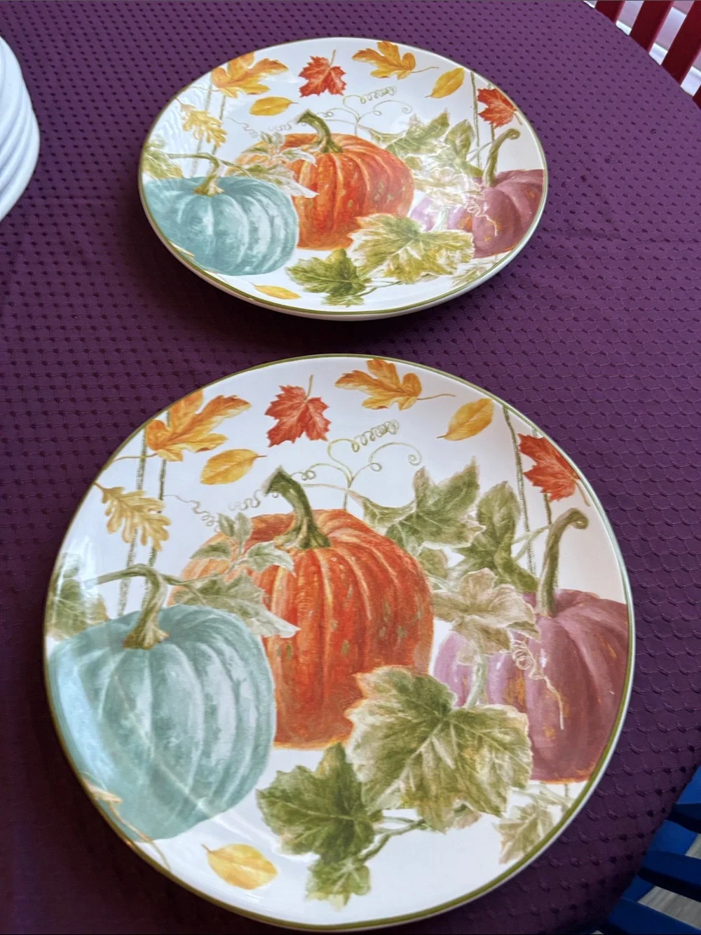 Set of 2 New “Autumn Harvest” dinner plates